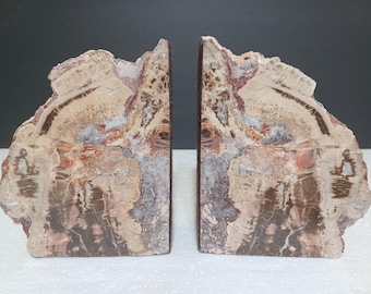 Natural Petrified Wood Bookends