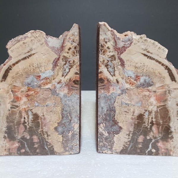 Natural Petrified Wood Bookends.