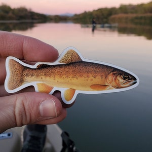 Imán de trucha Gila / Pescado de Arizona / Pescado norteamericano / Regalos de pesca para hombres / Imán de coche / Pesca con mosca / Imán de trucha / Pescado nativo