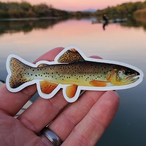 Könnte beinhalten: Ein Nahaufnahme eines braunen und goldenen Forellen-Fisch-Aufklebers mit weißem Umriss. Der Aufkleber wird in der Hand einer Person gehalten.