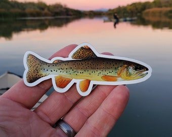 Dorsch - Sticker – Fin Buddies
