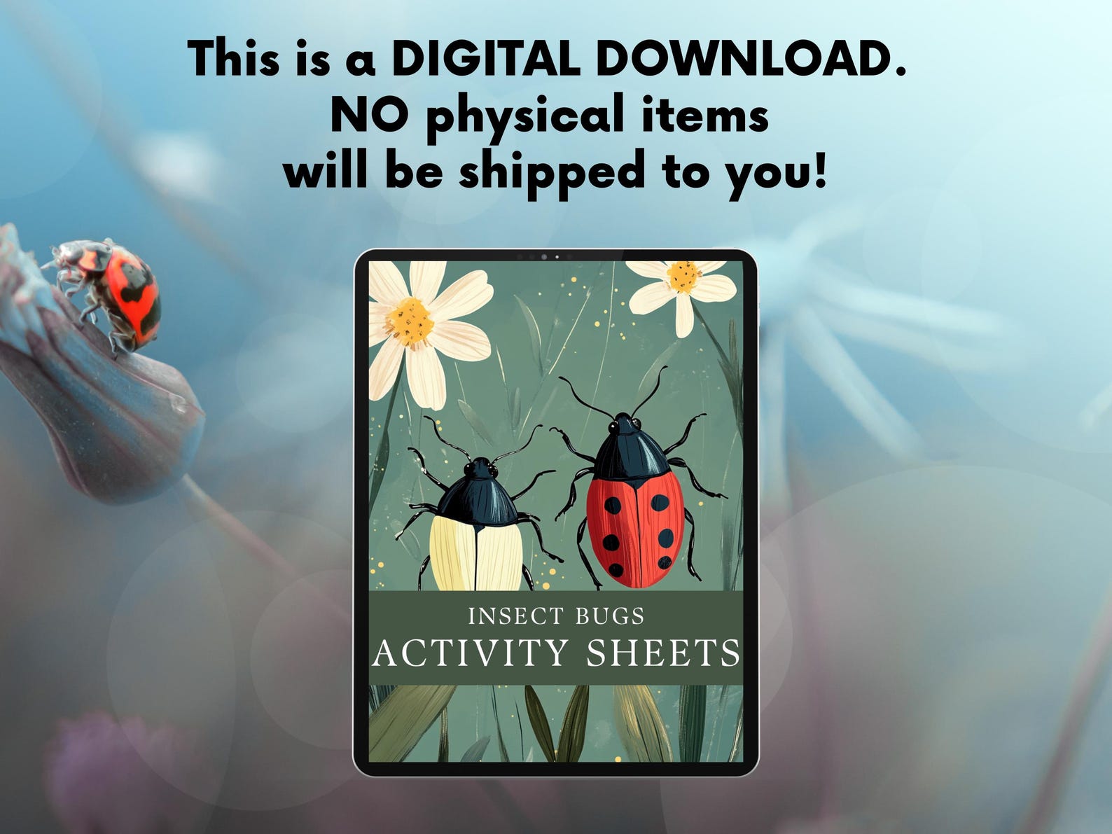 Insects and Bugs Activity Worksheet | Kids Educational Printable ...