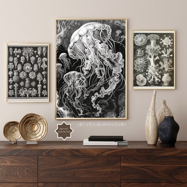 Set of Three Prints | Jellyfish Artwork | Oceanic Botanical Illustration | DOWNLOADABLE ART | Maximalist Gallery Wall | Bathroom Wall Art