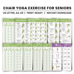 30 Chair Yoga Exercise in Guide for Seniors, Wheelchair Users, Nursing Home Balance Stability, 30Day Challenge Workout Physical Therapy PDF