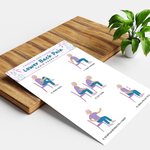 Peut inclure: Une feuille blanche avec des illustrations d'exercices sur chaise pour les douleurs lombaires. La feuille comprend le texte "Freedom and Flexibility! Lower Back Pain Chair Exercise" et des sch&eacute;mas d'exercices.