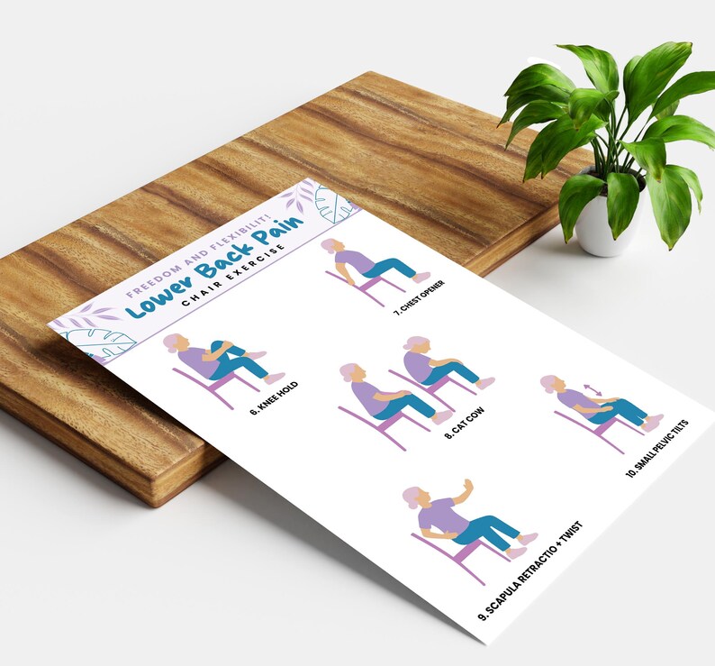 Peut inclure: Une feuille blanche avec des illustrations d'exercices sur chaise pour les douleurs lombaires. La feuille comprend le texte "Freedom and Flexibility! Lower Back Pain Chair Exercise" et des sch&eacute;mas d'exercices.