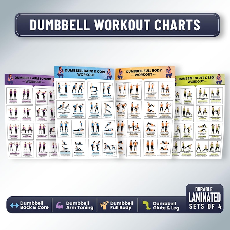 May include: Four laminated dumbbell workout charts. Each chart features illustrated exercises for different muscle groups: back & core, arm toning, full body, and glute & leg workouts. The charts are labeled with the text "DUMBBELL WORKOUT CHARTS".