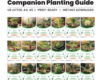 Companion Planting Guide, Printable Garden Planner (Digital Download)