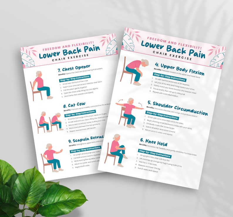 Chair Exercises for Lower Back Pain Relief: Seated Stretches (printable ...