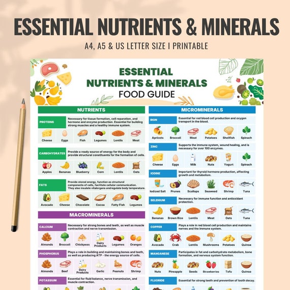 Essential Nutrients and Minerals Cheat Sheet: Supplement Reference Guide and Nutrition Facts Food List, High Quality PDF, Instant Access