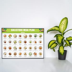 May include: A green and white poster with the title "Gallstone Meal Plan" and the word "Snack" in a smaller font. The poster features a grid of 36 small images of different food items, each on a white plate.