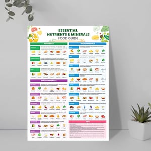 Puede incluir: Un p&oacute;ster infogr&aacute;fico colorido titulado "Gu&iacute;a de alimentos de nutrientes y minerales esenciales" con una lista de nutrientes y minerales esenciales, sus fuentes y consejos para una alimentaci&oacute;n saludable.