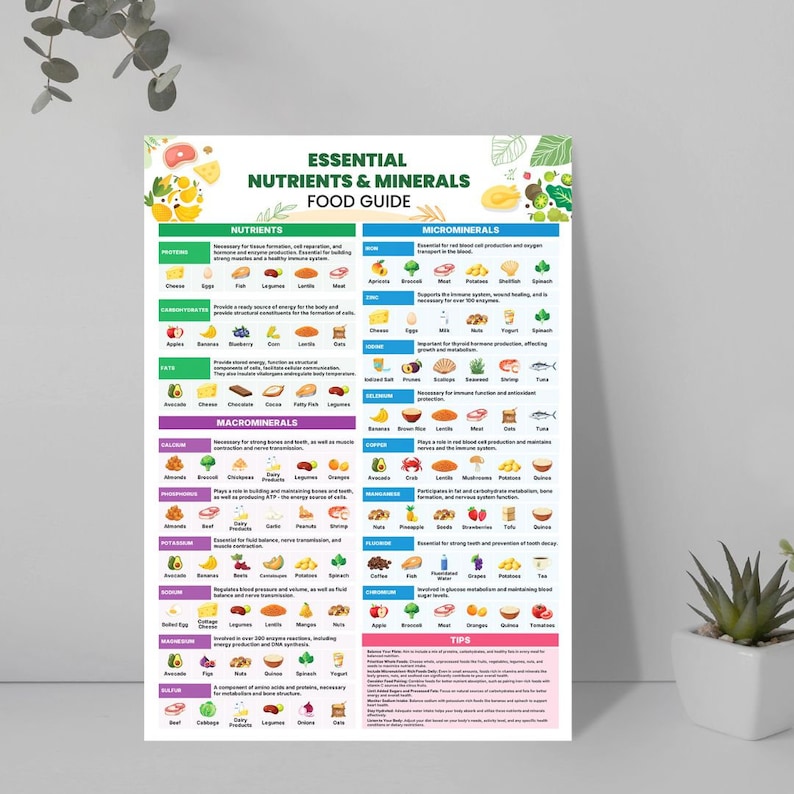 Puede incluir: Un p&oacute;ster infogr&aacute;fico colorido titulado "Gu&iacute;a de alimentos de nutrientes y minerales esenciales" con una lista de nutrientes y minerales esenciales, sus fuentes y consejos para una alimentaci&oacute;n saludable.