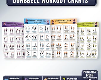 Dumbbell Workout Charts Bundle – Ganzer Körper, Arme, Bauchmuskulatur, Gesäß und Beine – Poster für Home-Gym-Übungen – Visueller Fitness-Leitfaden