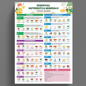 Puede incluir: Un p&oacute;ster infogr&aacute;fico colorido con fondo blanco y bordes verdes. El p&oacute;ster enumera los nutrientes y minerales esenciales para una dieta saludable. El p&oacute;ster incluye una lista de alimentos que son buenas fuentes de cada nutriente y mineral. El p&oacute;ster tambi&eacute;n incluye consejos para una dieta equilibrada.