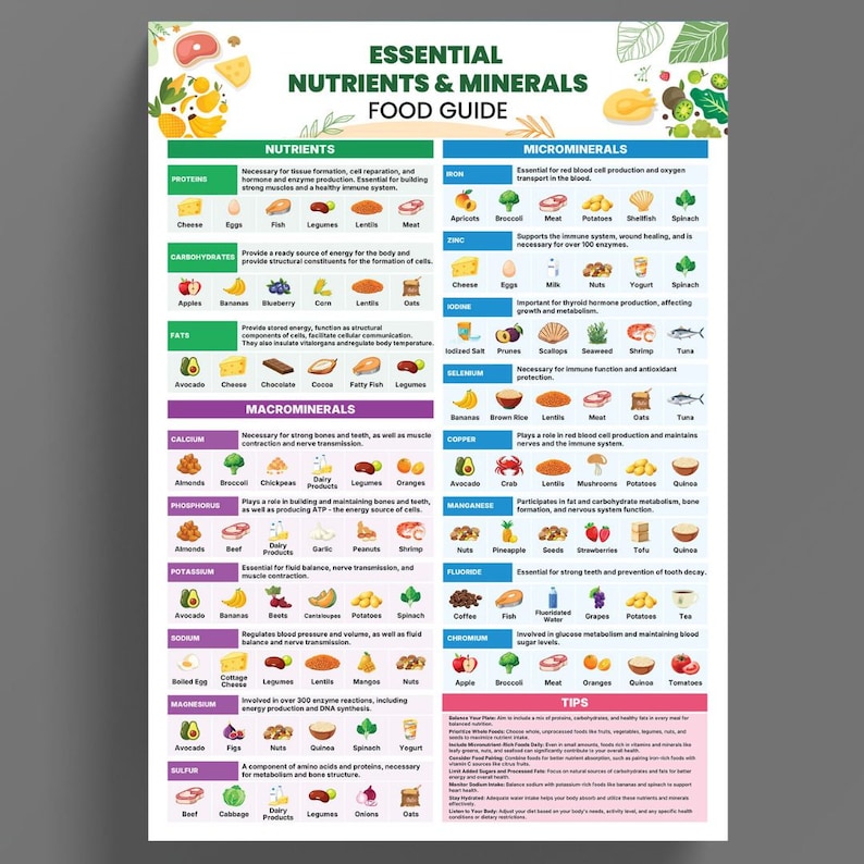 Puede incluir: Un p&oacute;ster infogr&aacute;fico colorido con fondo blanco y bordes verdes. El p&oacute;ster enumera los nutrientes y minerales esenciales para una dieta saludable. El p&oacute;ster incluye una lista de alimentos que son buenas fuentes de cada nutriente y mineral. El p&oacute;ster tambi&eacute;n incluye consejos para una dieta equilibrada.