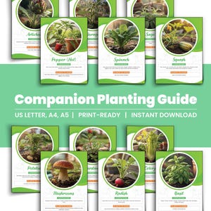Guia de Plantio Complementar, Organizador de Jardim, Guia de Plantas, Planejador de Plantas, Registro de Plantio, Planejador de Jardim, Tabela de Planejamento de Jardim, Diário de Jardim