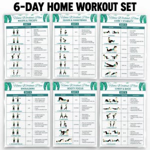 Laminated Home Workout Charts, 6-Day Dumbbell Workout Plan, Set of 6 Strength Training Posters, Home Gym Wall Decor, Fitness Gift