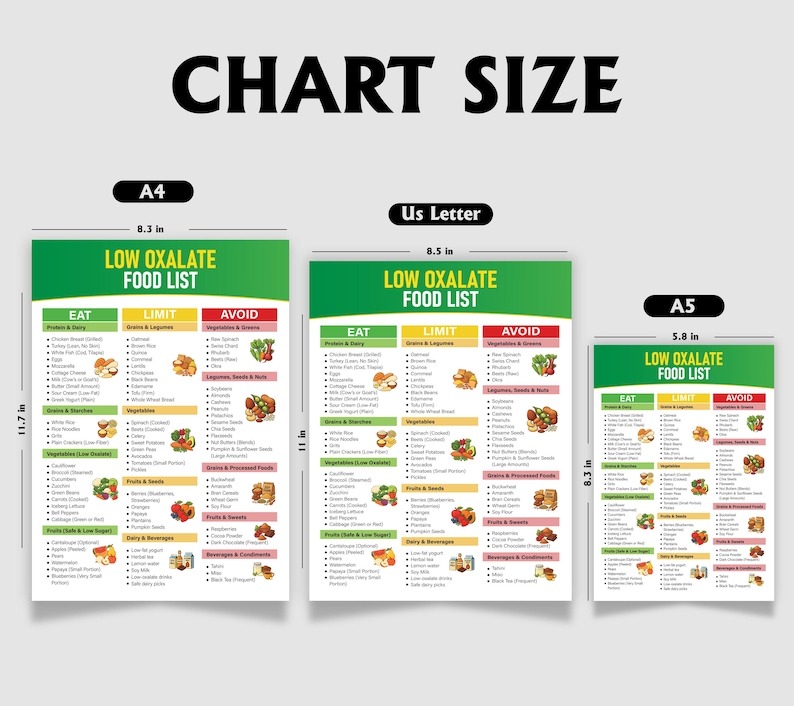 May include: Three printed charts with the text "LOW OXALATE FOOD LIST" in green and white. The charts are labeled A4 (21 cm x 29.7 cm), US Letter (21.6 cm x 27.9 cm), and A5 (14.8 cm x 21 cm). Each chart lists foods to eat, limit, and avoid.