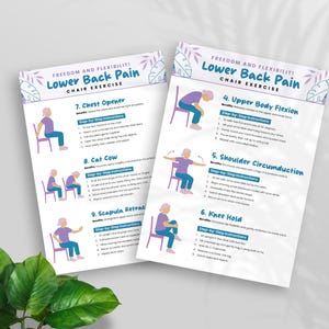 Peut inclure: Deux feuilles blanches imprim&eacute;es avec des instructions pour des exercices sur chaise pour soulager les douleurs lombaires. Les feuilles comportent des illustrations de personnes effectuant des exercices, avec le texte "Freedom and Flexibility! Lower Back Pain Chair Exercise."