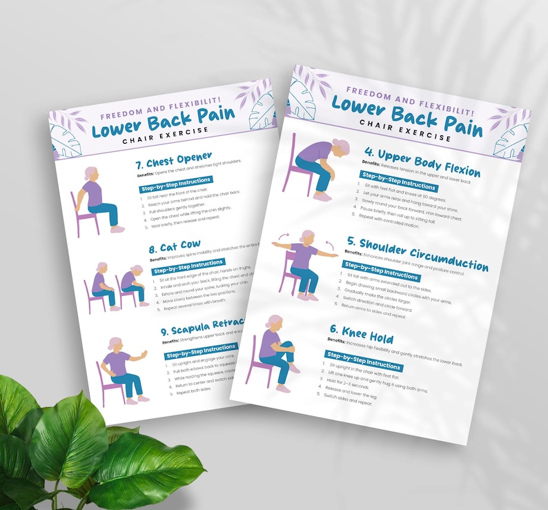Peut inclure: Deux feuilles blanches imprim&eacute;es avec des instructions pour des exercices sur chaise pour soulager les douleurs lombaires. Les feuilles comportent des illustrations de personnes effectuant des exercices, avec le texte "Freedom and Flexibility! Lower Back Pain Chair Exercise."