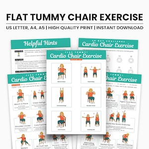 Chair Exercise, Chair Workout for Belly Fat, Ab Exercises, At Home Workout for Stomach, Cardio, 30-Day Challenge for Flat Tummy, PDF
