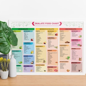 K&ouml;nnte beinhalten: Eine farbenfrohe Tabelle mit dem Titel "Oxalate Food Chart" listet Lebensmittel auf, die in Kategorien mit niedrigem, mittlerem und hohem Oxalatgehalt eingeteilt sind. Die Tabelle umfasst Obst, Gem&uuml;se, Getreide, Fette, N&uuml;sse, Samen, Proteine, Gew&uuml;rze und Kr&auml;uter.
