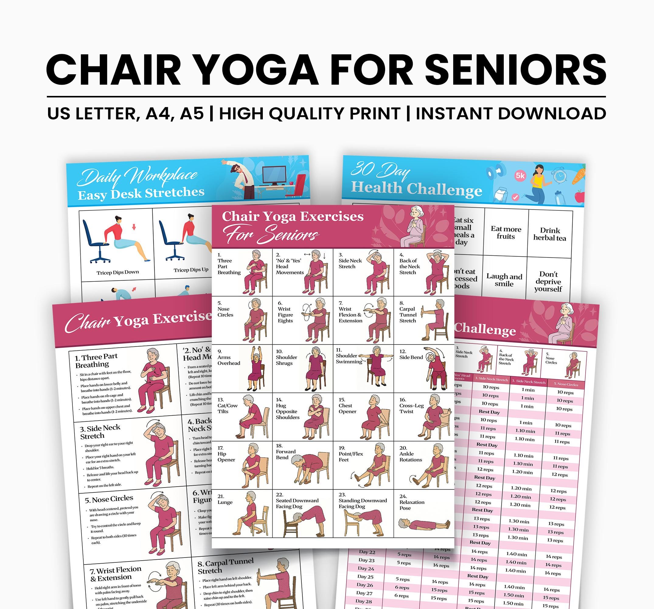 30 Day Chair Workout Bundle Printable, Chair Yoga Guide, Full Body ...
