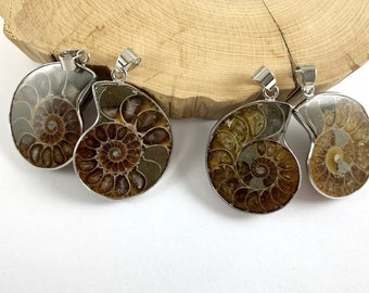 1 paire de colliers vintage avec pendentif fossile d'ammonite fendue, nautile fossilisé