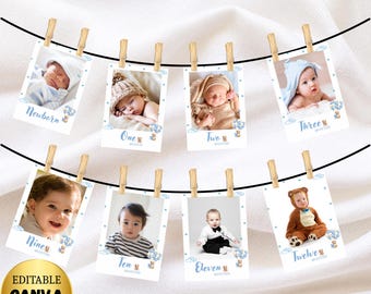 1st Birthday Milestone Sign, Printable Baby's First Year Poster, Editable First Milestone Board, One Year Baby Photos Milestone Board