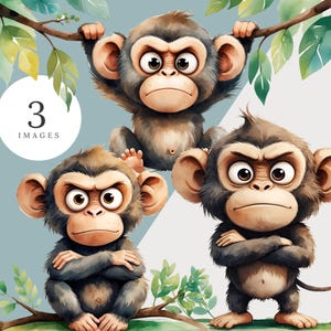 Ensemble de cliparts singe grincheux - 3 animaux de la jungle aquarelle PNG - jolis graphiques transparents pour journaux indésirables, travaux manuels pour enfants, SC1