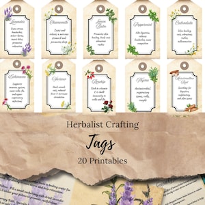 Etiquetas para diarios basura de herbolario: etiquetas de hierbas imprimibles con usos, efímeras botánicas para diarios basura, jardinería, grimorios, etc. JJ28