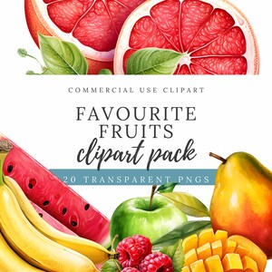 Clipart fruits préférés, illustrations de fruits d'été, raisins, graphiques tropicaux, pommes, agrumes, banane, baies, poires FC001
