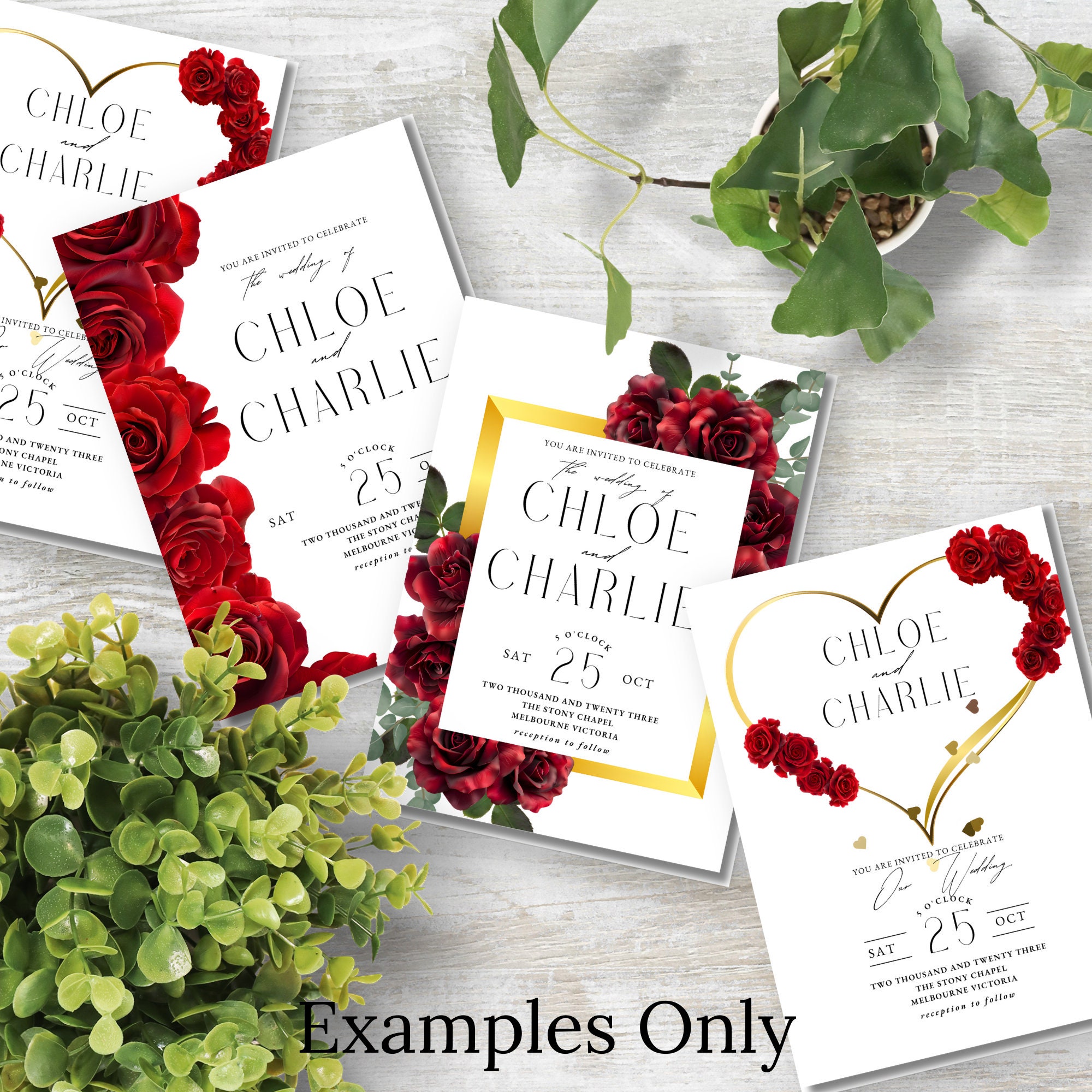 Red Roses Page Elegant Red Rose Page Borders - 10 High-quality 5x7 Jpegs & Transparent ...