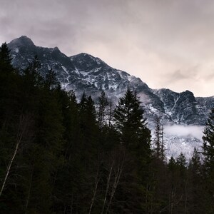May include: A snow-capped mountain range with a dark forest in the foreground. The sky is overcast and the mountain peaks are shrouded in mist.