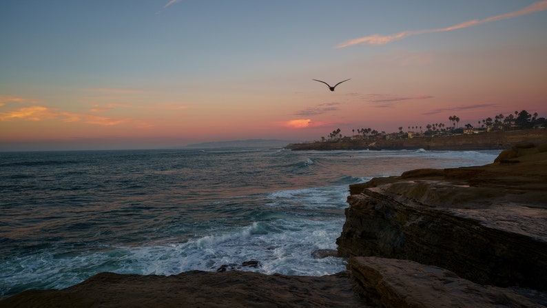 May include: A scenic view of a rocky coastline with the ocean in the foreground. The sky is a vibrant pink and orange, with a single bird flying in the distance.