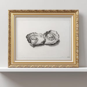 Vintage 1800s Oysters Sketch, PRINTABLE Coastal Kitchen Art, Neutral Old World Decor, Kitchen Shelf Artwork, Antique Oyster Shell Drawing