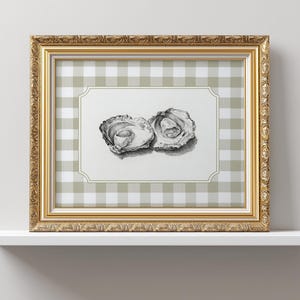 Vintage Oysters Sketch, PRINTABLE Gingham Coastal Kitchen Art, Beige Old World Decor, Kitchen Shelf Artwork, Antique Oyster Shell Drawing