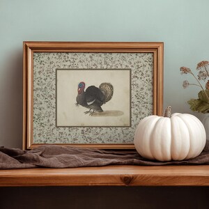 Vintage illustration of a turkey with detailed feathers, surrounded by a neutral floral border, rustic Thanksgiving wall art mailed print for farmhouse and autumn decor.