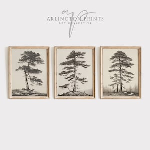 Neutral Beige Tree Drawings Set of 3, PRINTABLE Forest Prints, Vintage Boho Nature Sketch, Muted Home Decor, Botanical Trees Wall Art Set