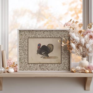 Vintage illustration of a turkey with detailed feathers, surrounded by a neutral floral border, rustic Thanksgiving wall art mailed print for farmhouse and autumn decor.