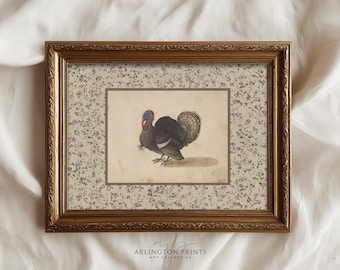 Vintage Thanksgiving-Truthahn-Druck, antike Bauernhaus-Wandkunst, rustikales Herbst-Ernte-Dekor, ländliche Küche zum Ausdrucken SK-15