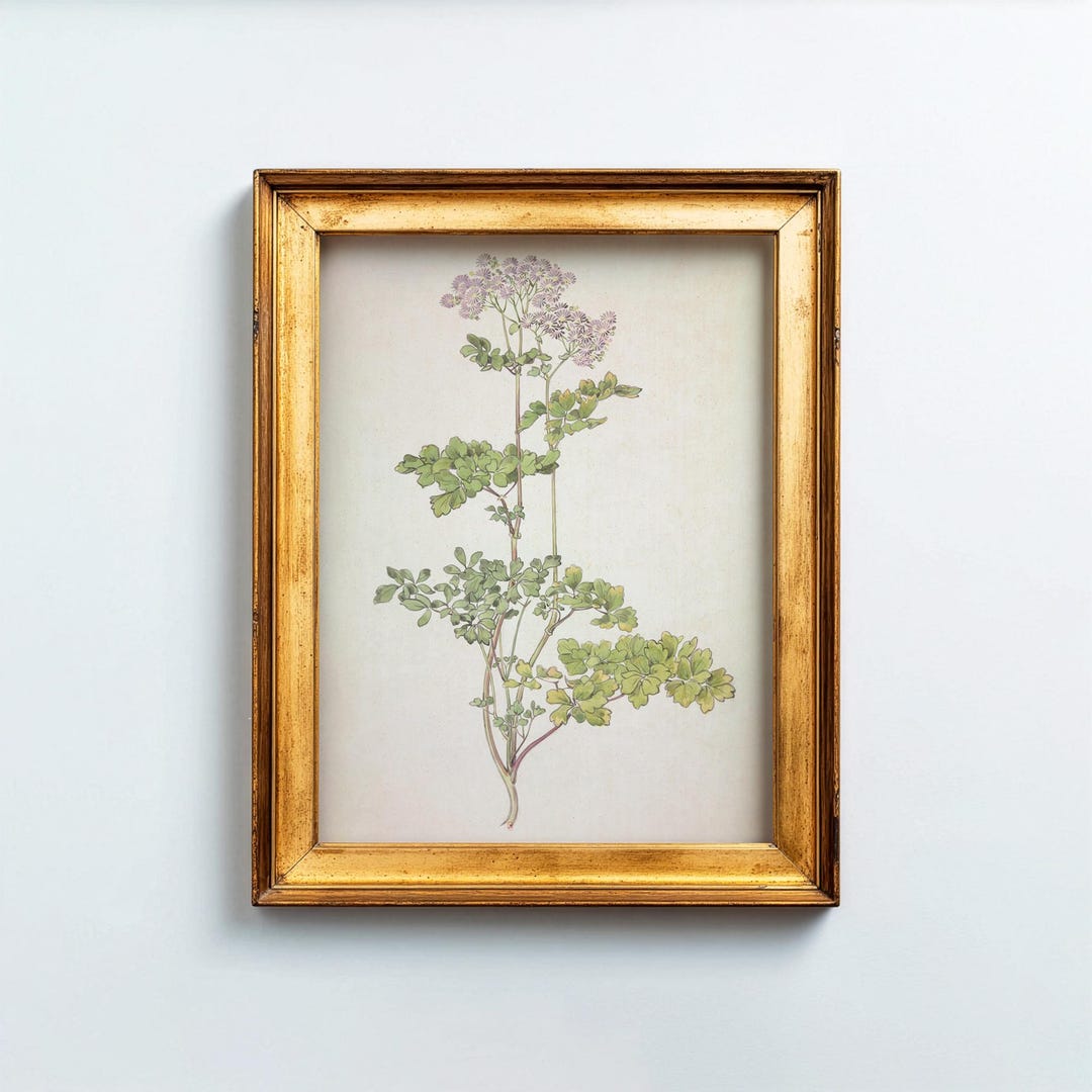 Vintage Botanical Wall Art Printable, Antique Floral Illustration ...