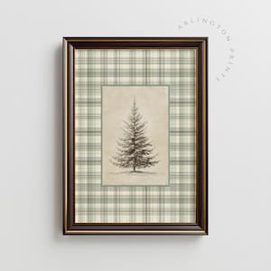 May include: Framed art print featuring a detailed pencil sketch of a pine tree. The artwork is set against a plaid background in shades of green, cream, and brown, with the text "ARLINGTON PRINTS" in the upper right corner.
