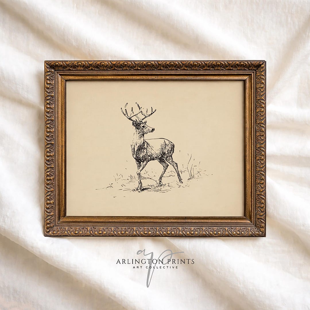 Vintage Deer Sketch Printable Wall Art, Antique Deer Drawing Rustic ...