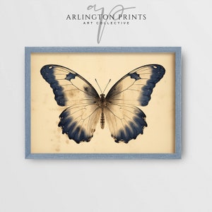 French Country Art, Wall Art Set, Vintage Floral Prints, Spring Home Decor, Indigo Blue, Muted Blue Home Decor, Butterfly Sketch, Country Florals, French Toile, Moody Wall Art Prints, Blue Moon, Antique Oil Painting, Blue Watercolor, Digital Download