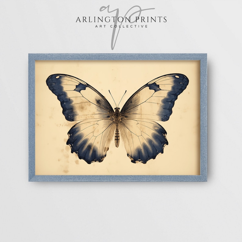 French Country Art, Wall Art Set, Vintage Floral Prints, Spring Home Decor, Indigo Blue, Muted Blue Home Decor, Butterfly Sketch, Country Florals, French Toile, Moody Wall Art Prints, Blue Moon, Antique Oil Painting, Blue Watercolor, Digital Download