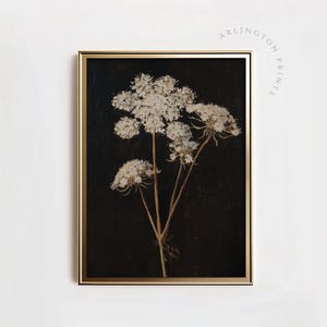 Druckbare Wildblumen Kunst, launisches Wildblumen Dekor, Vintage botanische Illustration | SB-44
