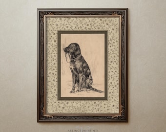 Printable Dog Wall Art, Vintage Black Lab Drawing, Rustic Farmhouse Pet Print, Antique Style Decor 26-04