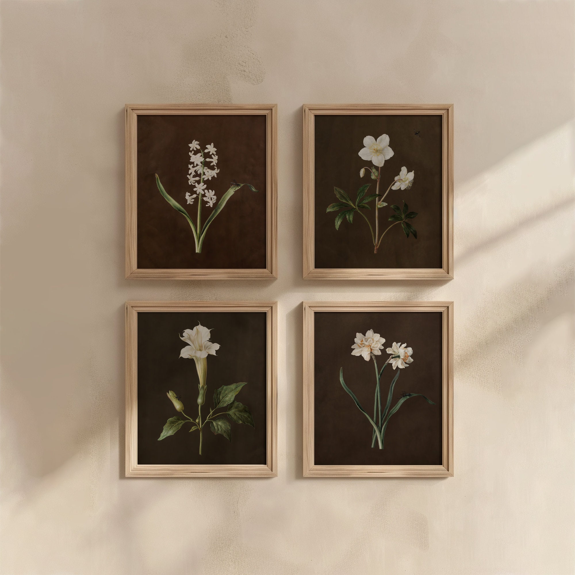 Moody Vintage Botanical Print Set of Four, PRINTABLE Muted Floral Art, Vintage Printable White Flowers Painting, Dark Academia Wall Art
